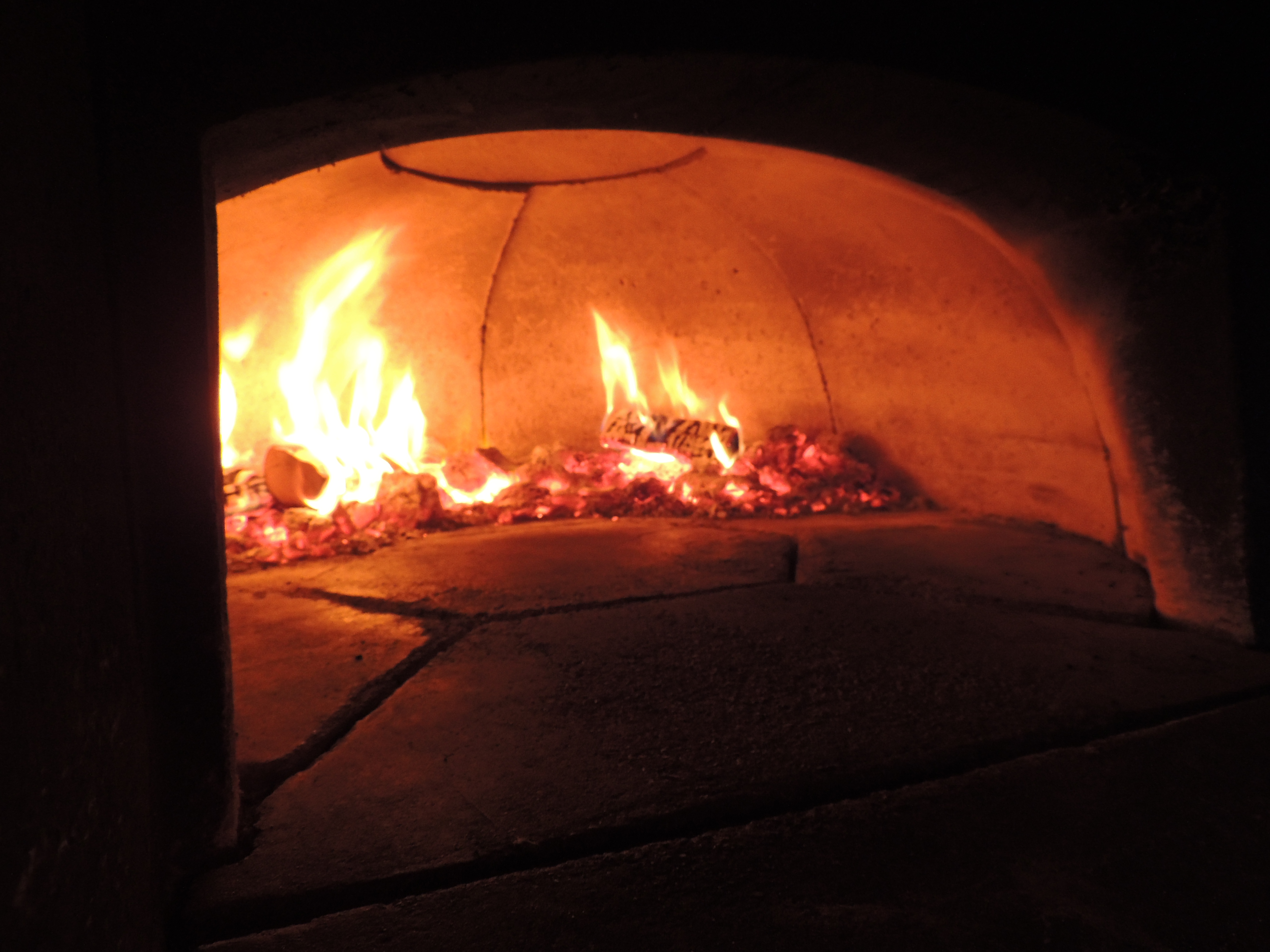 Hot Turtle Wood Fired Pizza Oven