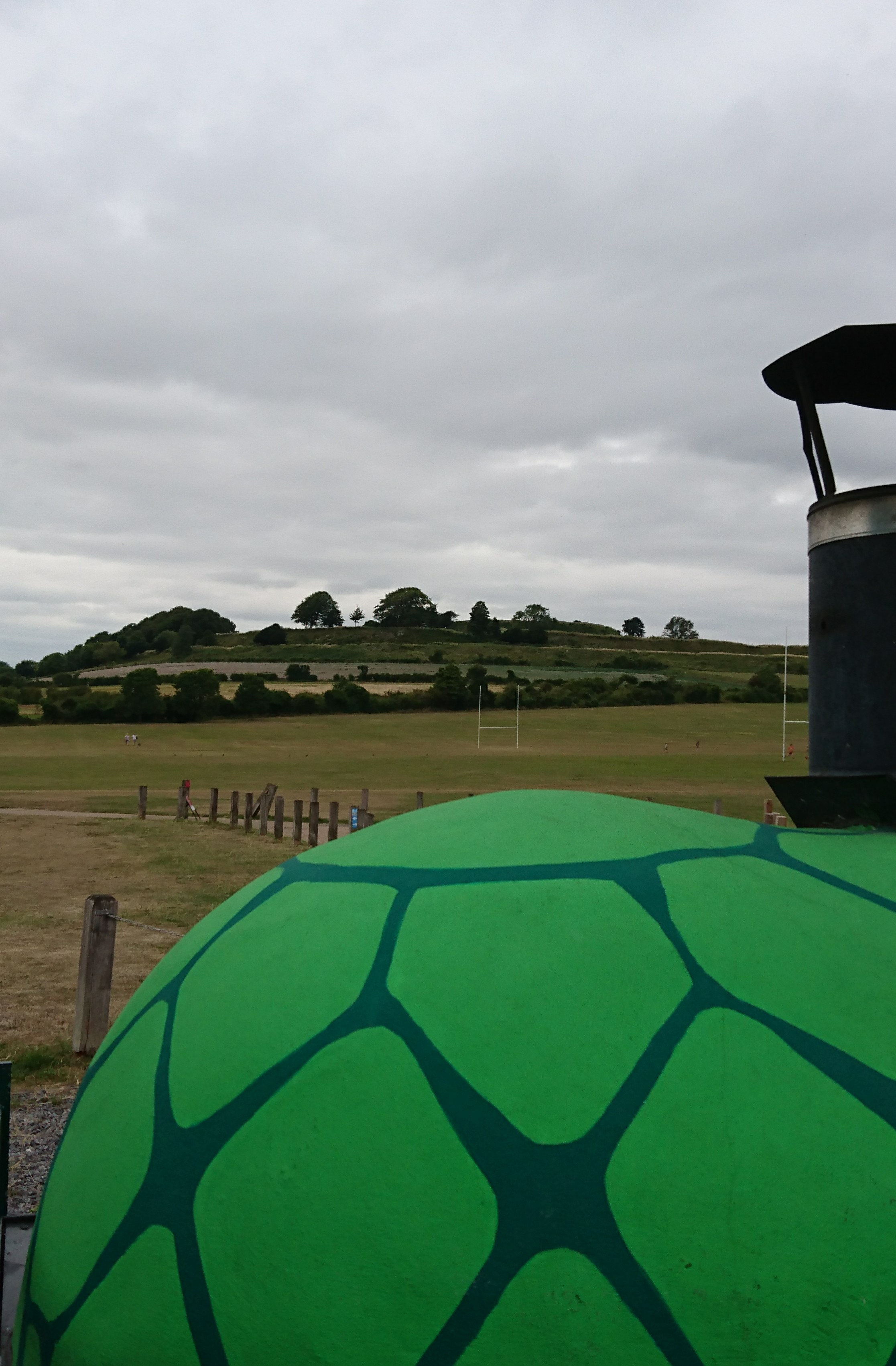 Hot Turtle Wood Fired Pizza at Old Sarum